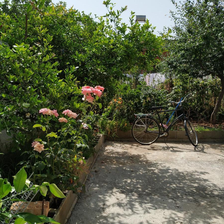 Spacious House With A Big Garden And Fire Pit Villa Tirana Esterno foto